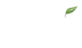 Sottile@6X